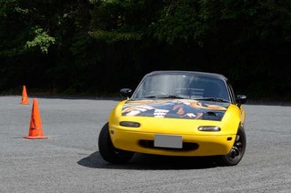 resize48033.jpg