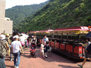 resize48065.jpg