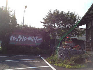 resize48066.jpg